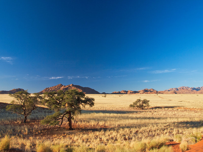 Sossusvlei